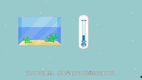 前打竿的使用方法视频